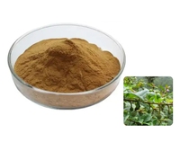 Poudre d'extrait de Gou Teng Uncaria Gambir d'extrait naturel d'Uncaria Gambier d'approvisionnement