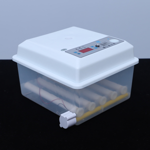 Incubateur Intelligent Mini Ménager Hautement Automatique 9/12/16 Œufs pour l'Incubation <span class=keywords><strong>d</strong></span>'Œufs <span class=keywords><strong>d</strong></span>'<span class=keywords><strong>Oiseaux</strong></span> - Product Image 3