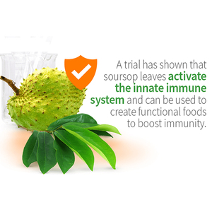 Emballage personnalisé OEM Feuilles de corossol bio Thé en vrac au corossol - Product Image 3