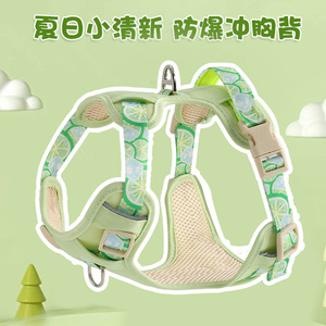 Correa de verano tipo chaleco para perros, arnés transpirable para mascotas, adecuado para perros pequeños, medianos y grandes como Corgis y Bichons. - Product Image 3