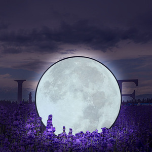 Accesorios y Adornos para Bodas, Caja de Luz con Superficie Lunar Brillante, Cámara para Escenario de Boda, Decoración de Fondo con Luz de Cielo Estrellado de Ensueño - Product Image 3