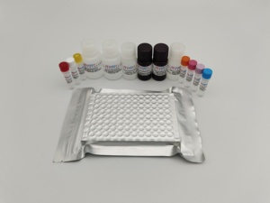 Nhanh chóng tetracycline Elisa <span class=keywords><strong>Kit</strong></span> kiểm tra cho kháng sinh phát hiện trong sữa, thịt, thức ăn, mật ong (rnd99025) - Product Image 5