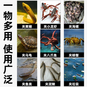 Pinces à anguilles en acier inoxydable épaissies antidérapantes pour la pêche au crabe et au homard, accessoires de pêche en mer et sur la plage - Product Image 4