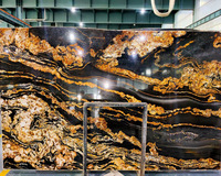 Centrale fantastique du brésil, granit noir avec veines dorées, pour établi de cuisine