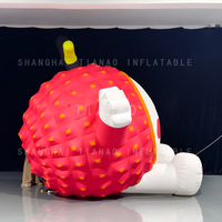 Modèle gonflable de fruit de poupée gonflable de litchi de litchi pour la publicité ou la décoration ou les événements