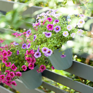 Macetas De Plstico Colgantes extra Grandes Auto Pots de culture Pot de pépinière <span class=keywords><strong>1m</strong></span> Maceteros De Plastico Pot Et Fleur - Product Image 3