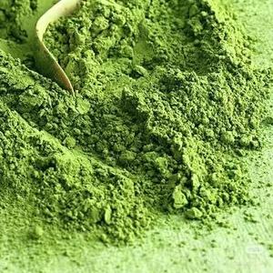 Polvo orgánico Matcha Ceremonial Grado Té verde <span class=keywords><strong>Macha</strong></span> Japonés 6A Matcha - Product Image 5