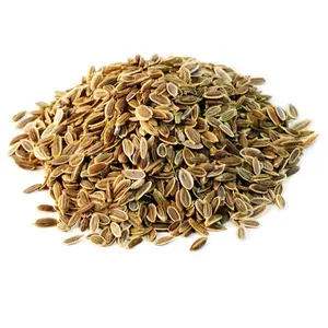 100% Pure Dill Essential Oil from India Manufacturer and Supplier Anethum Graveolens Essential Oil