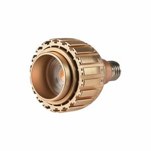 Venta caliente 20W Alto brillo <span class=keywords><strong>Foco</strong></span> ajustable Par30 <span class=keywords><strong>Foco</strong></span> <span class=keywords><strong>de</strong></span> luz <span class=keywords><strong>de</strong></span> relleno LED SMD 2835 Aluminio <span class=keywords><strong>para</strong></span> <span class=keywords><strong>crecimiento</strong></span> <span class=keywords><strong>de</strong></span> <span class=keywords><strong>plantas</strong></span> - Product Image 1