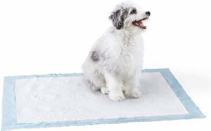 Manufacturers Promote Portable Absorbency Pad for Pets Made of <b>Cloth</b> Exports Growing Significantly for 5 Years - Product Image 3