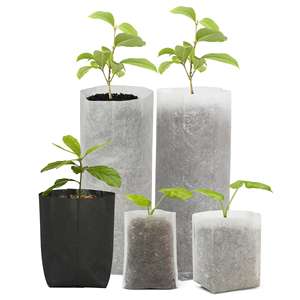 Biodégradable arbre semis <span class=keywords><strong>pot</strong></span> de fruits <span class=keywords><strong>pot</strong></span> de fleur 1/2 gallon 20cm x 25cm plante sacs de culture sacs de pépinière pour plante