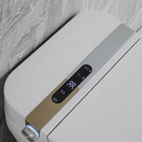 Plancher Intelligent Automatique Intelligent WC Wc avec Bidet de salle de Bain Monobloc Sanitaire WC Toilette Moderne En Céramique Toilette 2 Ans