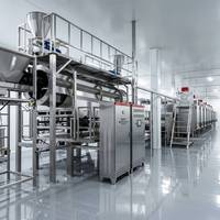 Machine à torréfier les noix en continu avec système d'alimentation automatique, équipement de torréfaction à bande en acier inoxydable pour usine alimentaire