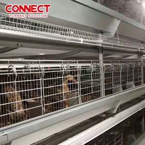 Equipo de procesamiento de aves de corral de 12 niveles, sistema de cría de gallos, jaulas de pollos de engorde para pollitos de engorde - Product Image 3