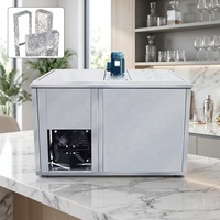 Machine industrielle de fabrication de blocs de glace avec compresseur 220V, capacité de stockage de 300 kg, installation de production de glace haute précision