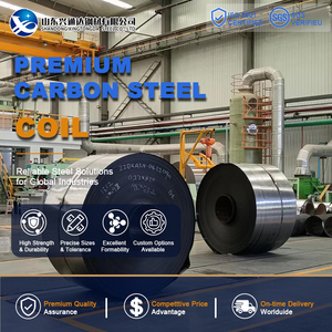 เหล็กม้วนคาร์บอน ASTM A36 ขนาด 50 มม. 1219 มม. แบบไม่เคลือบผิว สำหรับเครื่องจักร รุ่น A36 ผ่านกระบวนการดองและเคลือบน้ำมัน - Product Image 1