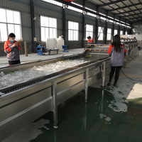 YIHAI Industriële Appel- en Groentewasmachine Model WL400 380V Eenvoudig te bedienen voor voedselverwerkingslijnen