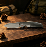 Couteau pliant de survie en plein air, camping, EDC, manche en alliage de titane, durable, personnalisable