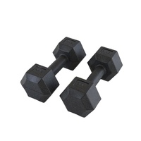 Ensemble d'haltères hexagonales en plastique de 5 kg pour entraînement à domicile, rempli de ciment et de sable, personnalisable OEM JS JS-1710, pour exercices de fitness complets, MOQ