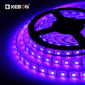 High Efficiency 12v SMD5050 Christmas Decoration RGB 30leds/m Led Light Neon Strip