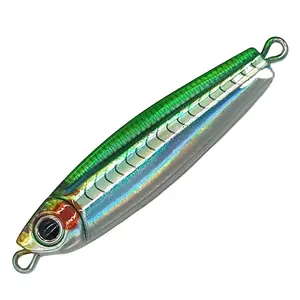 LF27-LEAD FISH 7g/10g/14g/21g/28g/35g/40g/50g/60g 3D gedruckte holo graphische Köder Casting Jig Top Wasser fischen lockt winzige Torpedos an