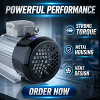 Pompe à huile électrique auto-amorçante portable haute pression DL Cavitt haute puissance 110/220V 60L/Min pour l'industrie automobile