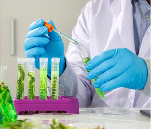 Gants en nitrile jetables d'épaisseur moyenne pour le nettoyage des réparations et la fabrication de tatouages sans poudre pour les salons de beauté noirs - Product Image 4