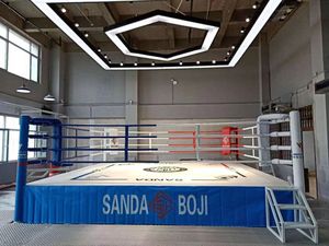 Ring de boxe professionnel OEM pour entraînement en salle de sport, avec ou sans table - Product Image 2