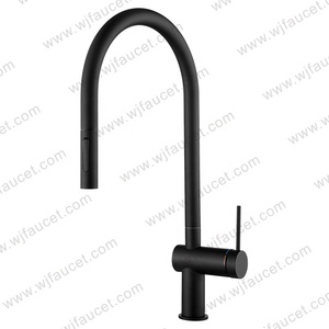 Torneira <span class=keywords><strong>Pra</strong></span> Cozinha ottone estraibile spruzzatore molla singola leva pistola rubinetto in metallo rubinetto lavello con estraibile - Product Image 2