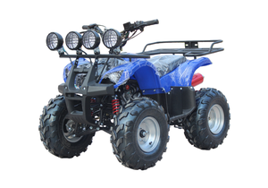 <span class=keywords><strong>Cuatrimoto</strong></span> ATV de 125cc <span class=keywords><strong>CF</strong></span> Moto con Neumáticos de 8 Pulgadas, Accesorios Agrícolas, Gasolina/Diésel, Bloqueo de Diferencial Automático, Transmisión por Cadena - Product Image 2