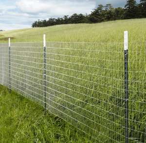 頑丈な8フィートT型支柱（フェンス、屋外庭園用） - Product Image 2