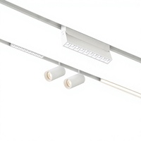Rail lumineux magnétique encastré et en saillie en aluminium blanc intelligent pour éclairage d'ambiance de salon