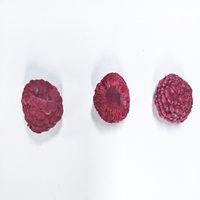 Frutos Secos de Frambuesa Liofilizados, Crujientes y Naturales, Servicio Personalizado, Suministro al por Mayor Directo de Fábrica con Muestra Gratuita