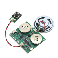 Module de son enregistrable Puce sonore programmable pour carte de voeux Carte vocale de charge USB pour jouets Cadeaux créatifs