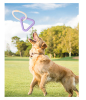 Jouet interactif pour chien en caoutchouc avec lumières LED activées par le mouvement, ballon de football rotatif et corde de traction pour l'exercice