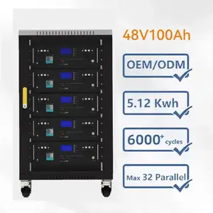 Baterai Inverter tenaga surya 51.2V 16S BMS, baterai Inverter tenaga surya 100Ah 120Ah 200Ah 300Ah LiFePO4 Pak baterai 48V baterai Lithium ion fosfat