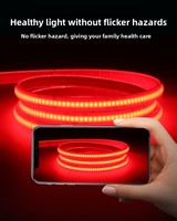 Bande LED en silicone en forme d'arc de 8 mm, IP67, 24 V, lumière rouge, 10 W, 5 m, 10 m, pour jardin, allée, parterre de fleurs, décoration extérieure