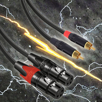Cable de micrófono con conexión de audio estéreo dual XLR a dual RCA para cine en casa y altavoces de computadora.