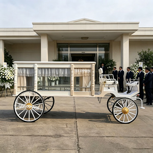 Carro Fúnebre Eléctrico de Diseño Único Estilo Contorno, con Detalles Creativos y Artesanía de Primera Calidad, Ideal para Compras de Gran Volumen Relacionadas con Funerales - Product Image 1