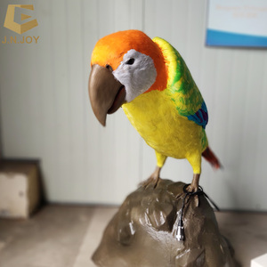 Thực Tế Cử Động Vật Vẹt Chim Để Bán - Product Image 1