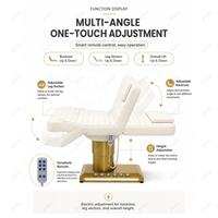 Table de massage électrique pour cils, base dorée, incurvée, pour salon de beauté, spa, esthéticienne, mobilier de luxe, vente en gros OEM