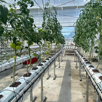Système de gouttières pour substrat hydroponique en serre, pour la culture verticale de fraises, tomates et concombres