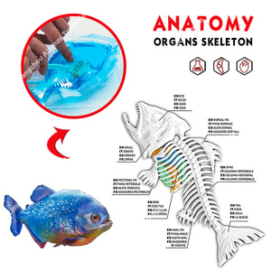 Jouet éducatif d'animaux dissectionnés, Jouets STEM, Kit de laboratoire scientifique éducatif pour la dissection de chauves-souris, Jouets de slime d'animaux simulés dissectionnés - Product Image 3