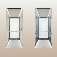 Ascenseurs de villa en acier inoxydable de la série Premium, système de contrôle intelligent 220V. Capacité personnalisable de 400 kg pour 2-3 personnes