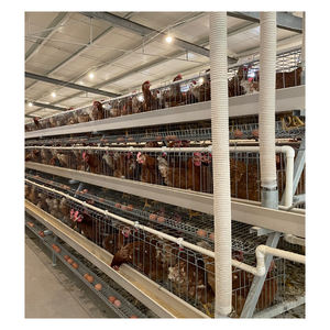 Modern Tasarım Pil Güçlü Yumurtacı Tavuklar İçin Kümes Ekipmanları Tavuk Kafesi Satılık - Product Image 4