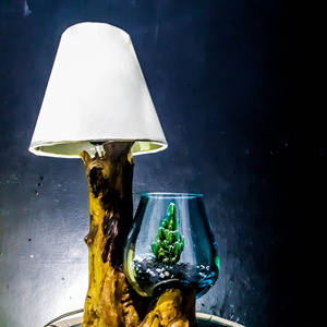 Eco-friendly <span class=keywords><strong>Driftwood</strong></span> Terrário De Vidro Fundido Aquário Preservado Pólo Musgo Para Terrários Jardinagem Arte Home Decor - Product Image 1