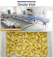 Fabrieksontwerp Fruitverwerkingslijn Motor SUS 304 RVS Hoge capaciteit 1500-8000kg/u Versgesneden fruit invoer