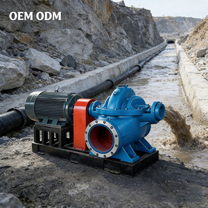 Single Stage High Pressure Double <b>Suction</b> <b>Pump</b> - SH Series Stainless Steel High Power Electric Industrial <b>Pump</b> - Product Image 3