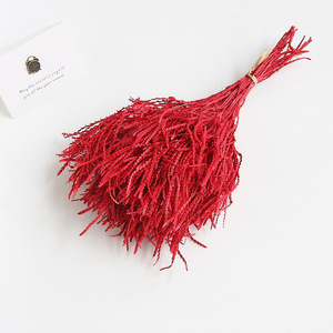 ยูนันขายส่งดอกยูลาลิโอปซิส บินาต้าแห้งสวยงามสำหรับตกแต่งงานแต่งงาน - Product Image 6