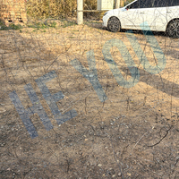 Approvisionnement d'usine MZP barrière en treillis métallique à faible visibilité 26 couches Structure multi-anneaux pour la zone de restriction d'accès au sol en Ukraine